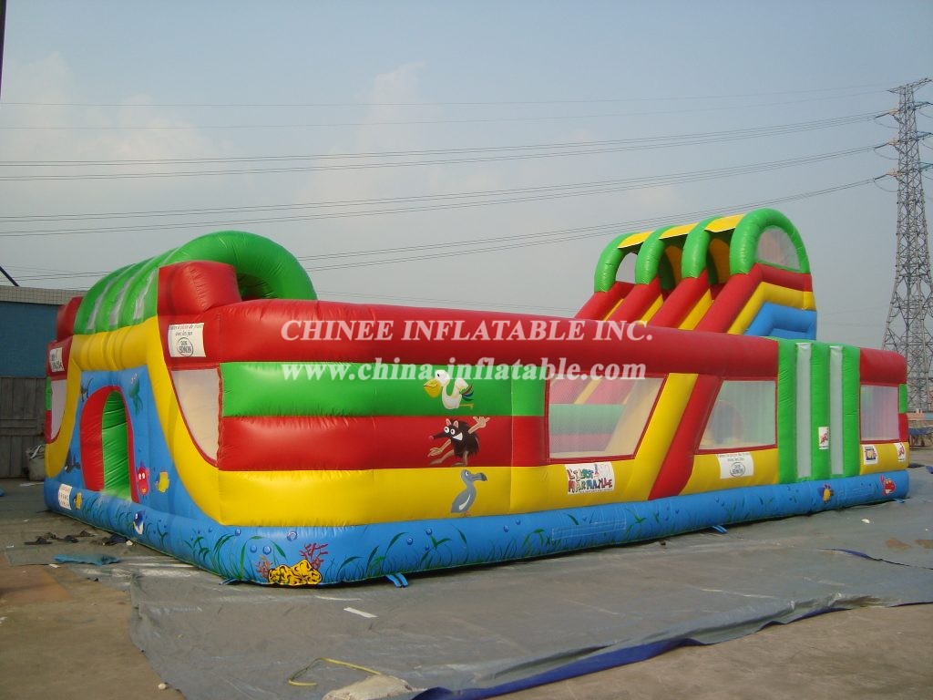 T6-205 Outdoor Giant Inflatable