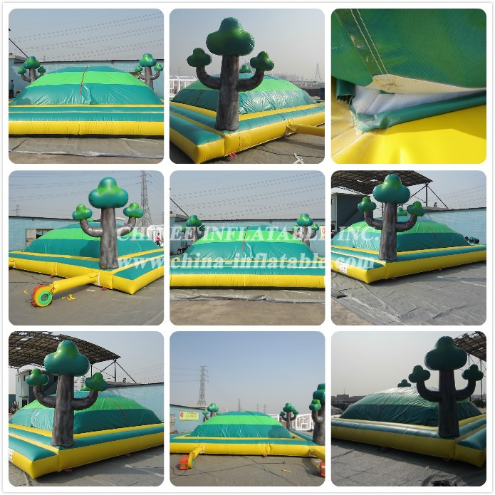 a - Chinee Inflatable Inc.